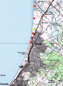 Occurrences of what has been referred to as Erysimum menziesii ssp. yadonii. A red polygon indicates an extant occurrence; yellow indicates the occurrence has been extirpated. 